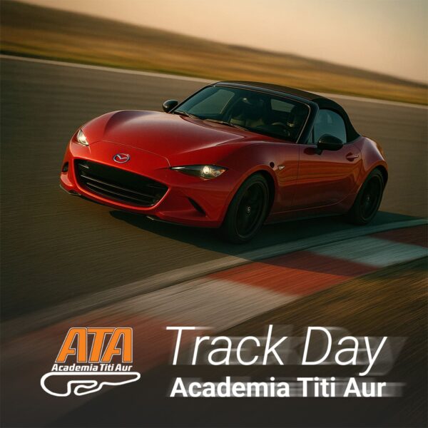 Track Day la Academia Titi Aur - imagine 2