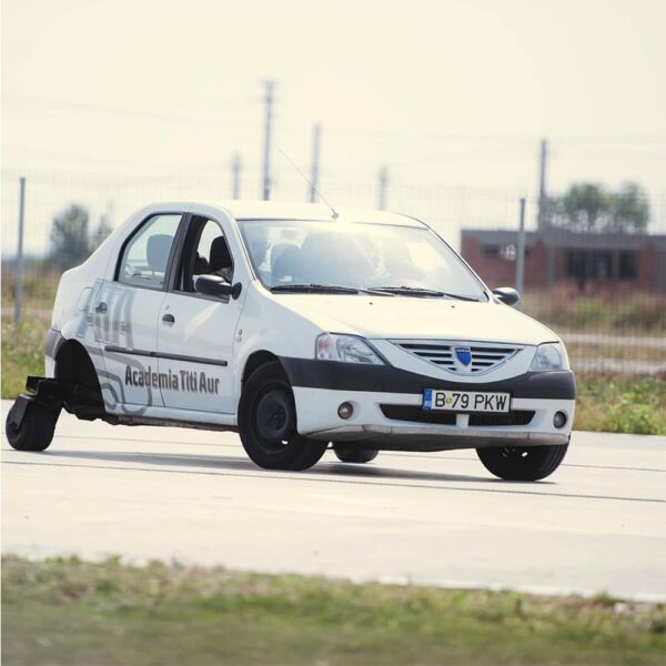 Experiența 300CP Silver - imagine 3